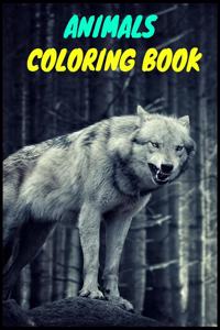 Animal Coloring Book