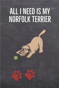 All I need is my Norfolk Terrier