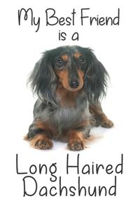 My best Friend is a Long Haired Dachshund