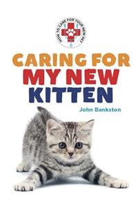 Caring for My New Kitten