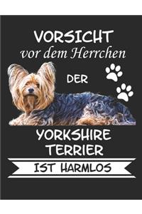 Vorsicht vor dem Herrchen der Yorkshire Terrier ist Harmlos