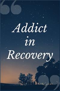 Addict in Recovery