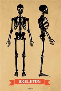 Skeleton Notebook