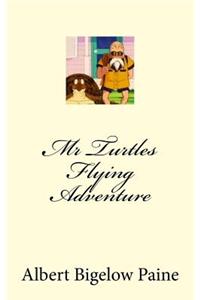 Mr Turtles Flying Adventure