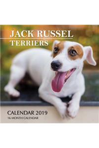 Jack Russel Terriers Calendar 2019