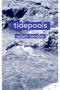 tidepools