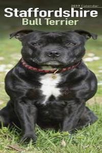 Staffordshire Bull Terrier Slim Calendar 2019