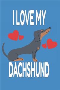 I Love My Dachshund