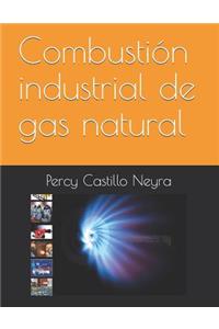 Combustión Industrial de Gas Natural