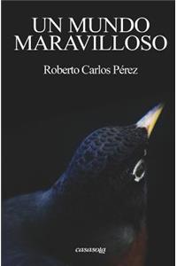 mundo maravilloso