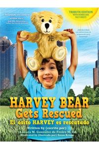 Harvey Bear Gets Rescued