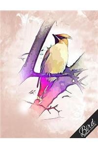 Bird Notebook Collection