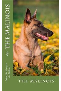 malinois