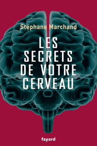 Les secrets de votre cerveau