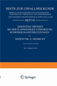 Derzeitige Grenzen Bei Der Planmässigen Versorgung Schwerer Handverletzungen