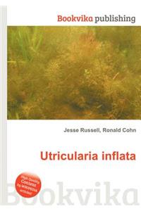Utricularia Inflata