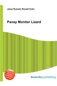 Panay Monitor Lizard