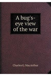 A Bug's-Eye View of the War