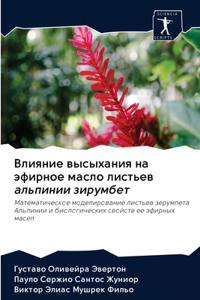 Влияние высыхания на эфирное масло листье