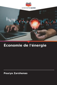 Économie de l'énergie