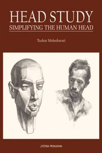 Head Study: Simplifying the Human Head