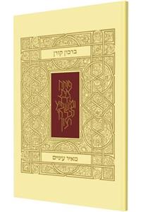 Birkon Meir Einayim