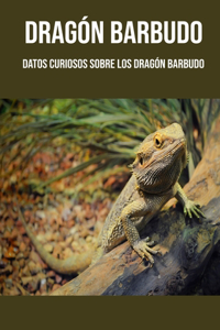 Dragón barbudo