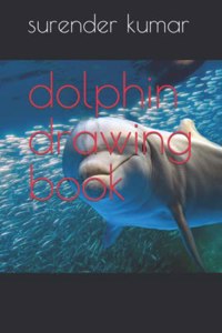 dolphin drawing book