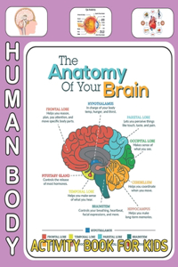 Human Body Activity Book For Kids