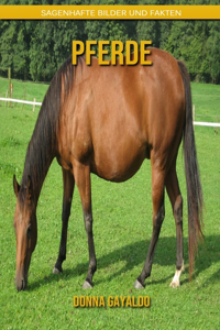 Pferde
