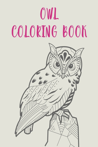 Owl Coloring Book