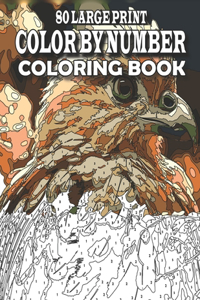 80 Large Print Color By Number Coloring Book