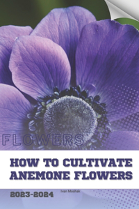 How to Cultivate Anemone Flowers
