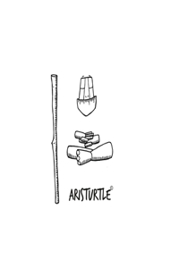 Aristurtle