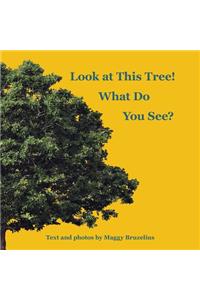 Look at This Tree! What Do You See?