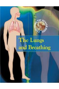 The Lungs and Breathing