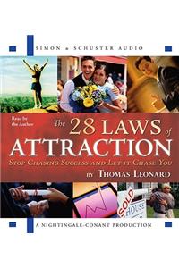 The 28 Laws of Attraction: Stop Chasing Success and Let It Chase You