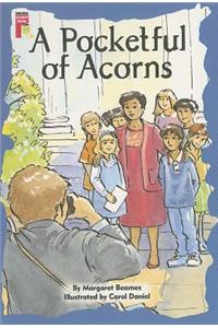 A Pocketful of Acorns