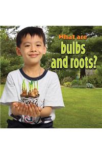 What Are Bulbs and Roots?