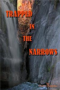 Trapped In The Narrows