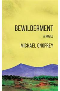 Bewilderment