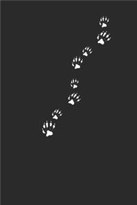 Racoon Paw Prints