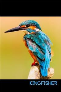 Kingfisher