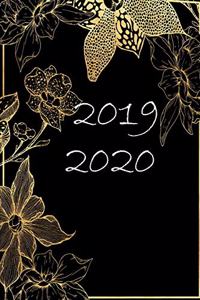 2019 - 2020