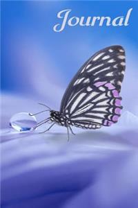 Journal