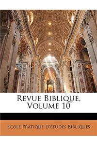 Revue Biblique, Volume 10