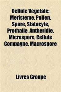 Cellule Vgtale