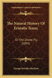 Natural History Of Eristalis Tenax