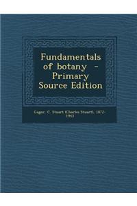 Fundamentals of Botany - Primary Source Edition