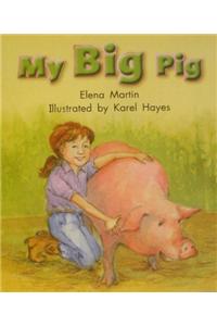 My Big Pig
